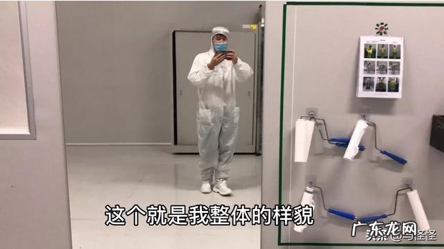 感觉身体状况非常不好,怎么调理