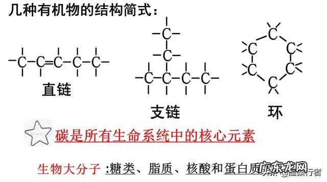 生物是从非生命/非活体物质组成的进化的吗
