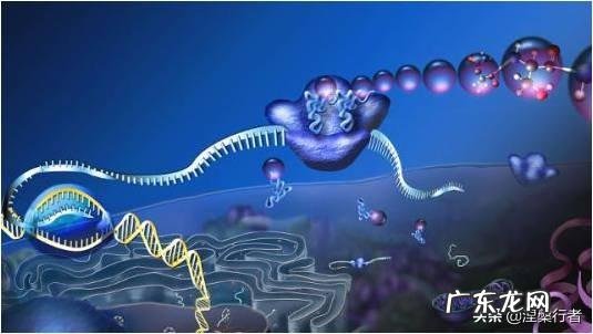 生物是从非生命/非活体物质组成的进化的吗