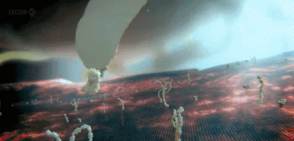 生物是从非生命/非活体物质组成的进化的吗