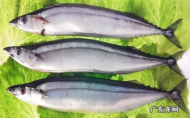 在农村,有什么野菜可以食用且对身体有益?