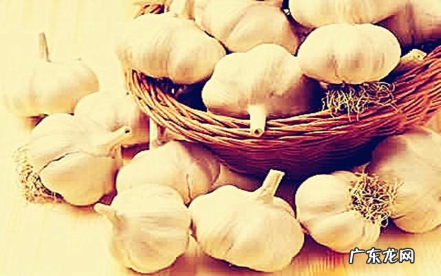 在农村，有什么野菜可以食用且对身体有益？