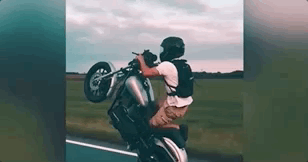 2020年有哪些网络新梗?