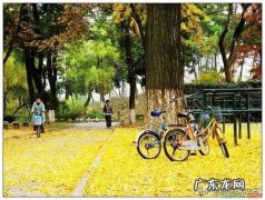 你为今天的生活努力了吗？有何分享？