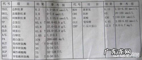 进行肝功能检查能筛查肝癌吗