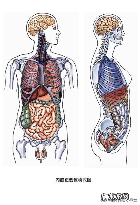 产后康复师和产后修复师 产后修复，是去产后康复中心修复好还是通过瑜伽修复更好？