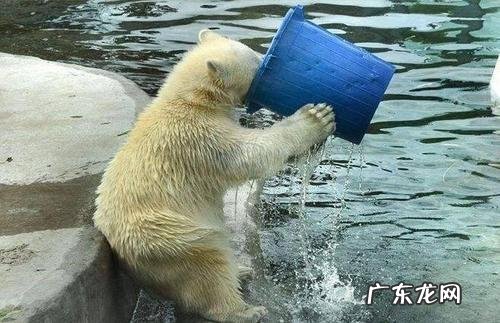 健身喝运动型饮料还是喝矿泉水好 拿运动饮料解渴是健身一大误区?