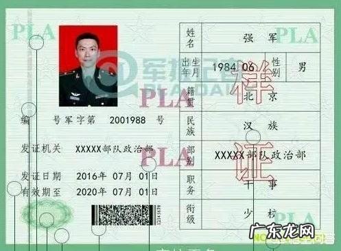 士官的职业发展方向有哪些