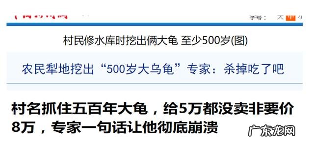 龟真的能有千年万年的寿命吗？它们到底能活多久？