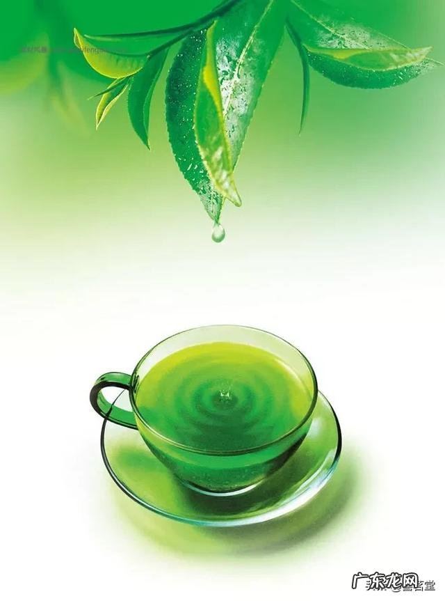 我很喜欢喝绿茶，但是脾胃不适应，怎么调理一下身体？