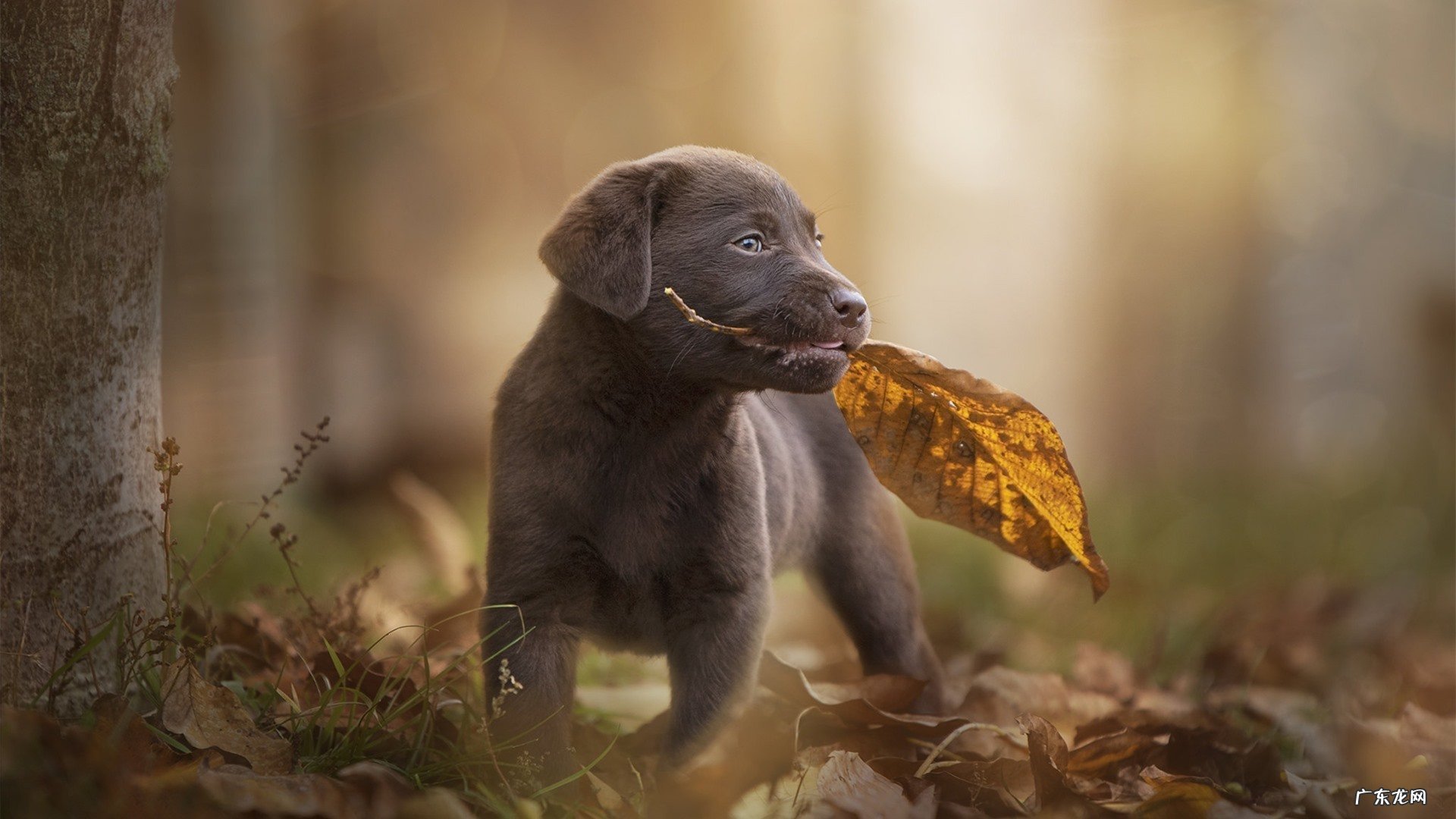 想减肥一天喝多少水合适 要减肥一天应该喝多少水?