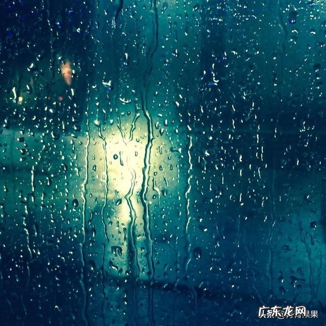 冬天祛湿吃什么蔬菜好 夏天吃什么蔬菜可以祛湿消肿的？