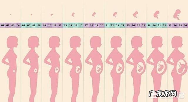 孕妈妈肚子大小能说明什么问题吗单看肚子大小有没有意义