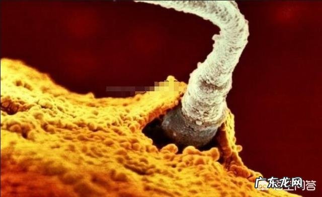 怀孕一周身体会变形吗？会有哪些变化呢？