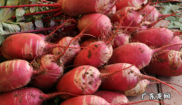 几分钟快速止咳小妙招,8种喉咙痒立刻止咳的方法