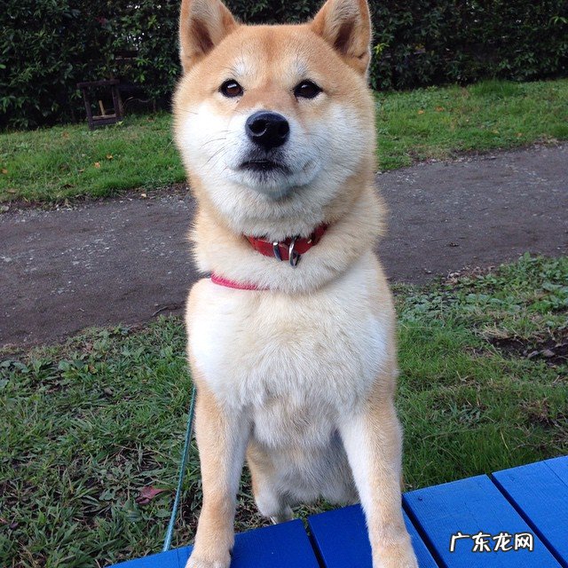 生完孩子以后要多久才可同房?