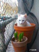 生完孩子以后要多久才可同房？