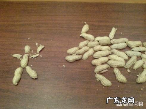 过期的花生和瓜子能制作成花肥吗？