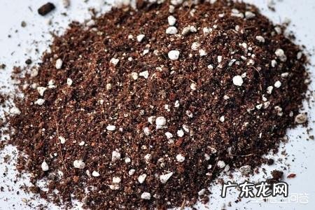 过期的花生和瓜子能制作成花肥吗？