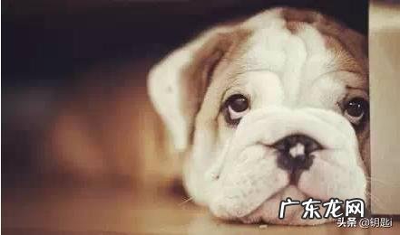 感冒一次,好了之后,抵抗力会得到提高吗?