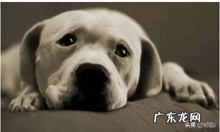 感冒一次,好了之后,抵抗力会得到提高吗?