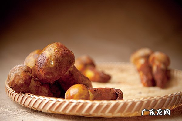 松茸菌的功效与作用及食用方法