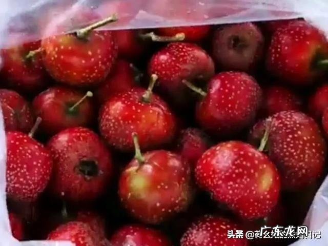 新鲜山楂怎么做成甜品小吃？