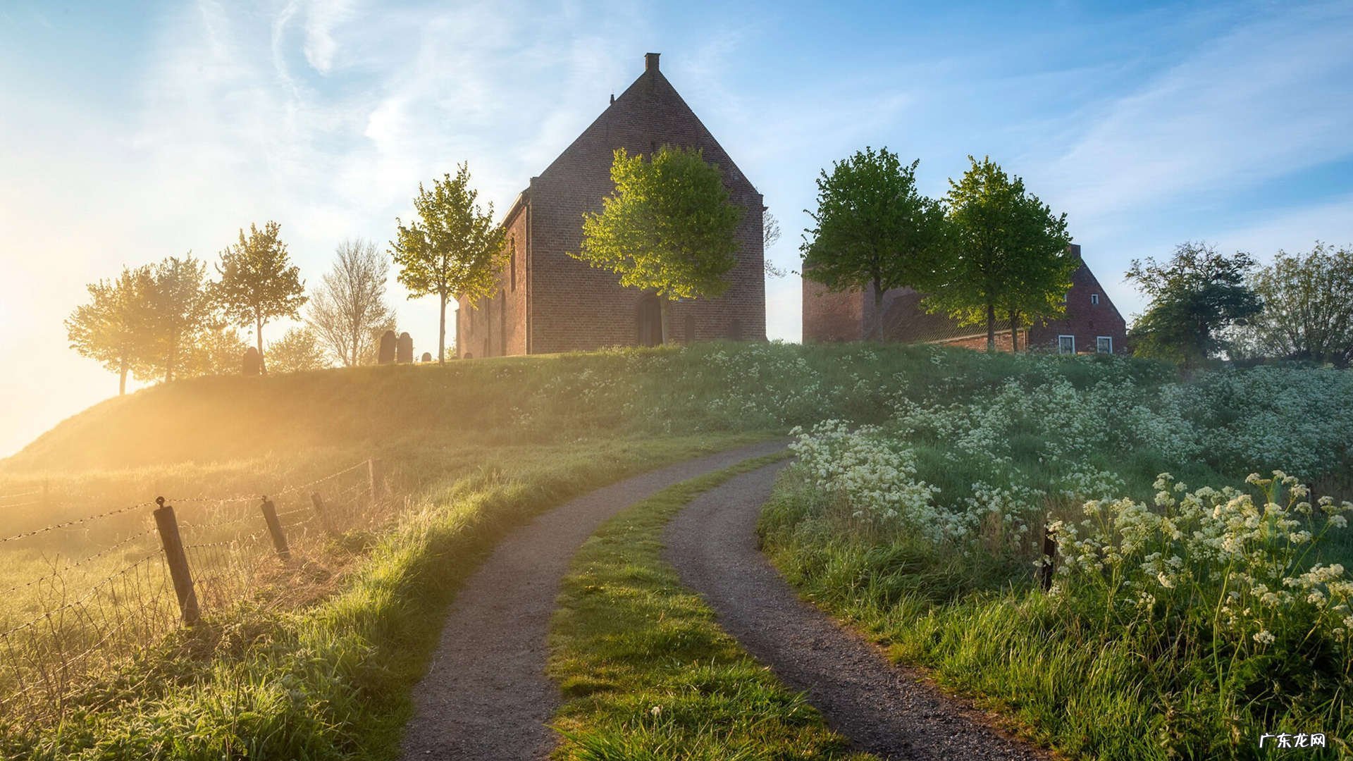 干山查和干苦瓜能一起泡水吗 能减肥吗