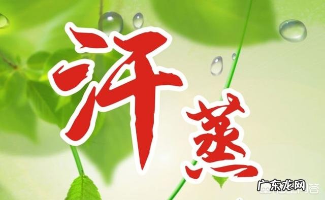 什么养生方法可以取代汗蒸?