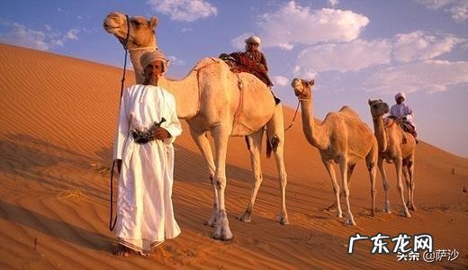 奥斯曼帝国之后，中东没有真正的大国，是因为战斗力太差吗