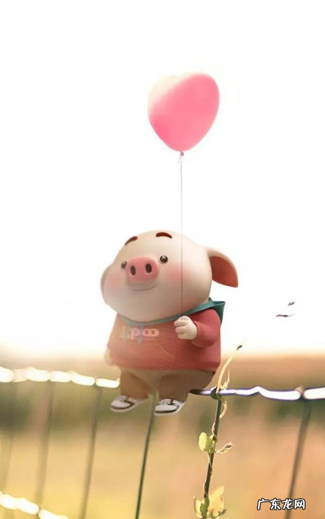 大家有没有什么沙雕段子推荐?