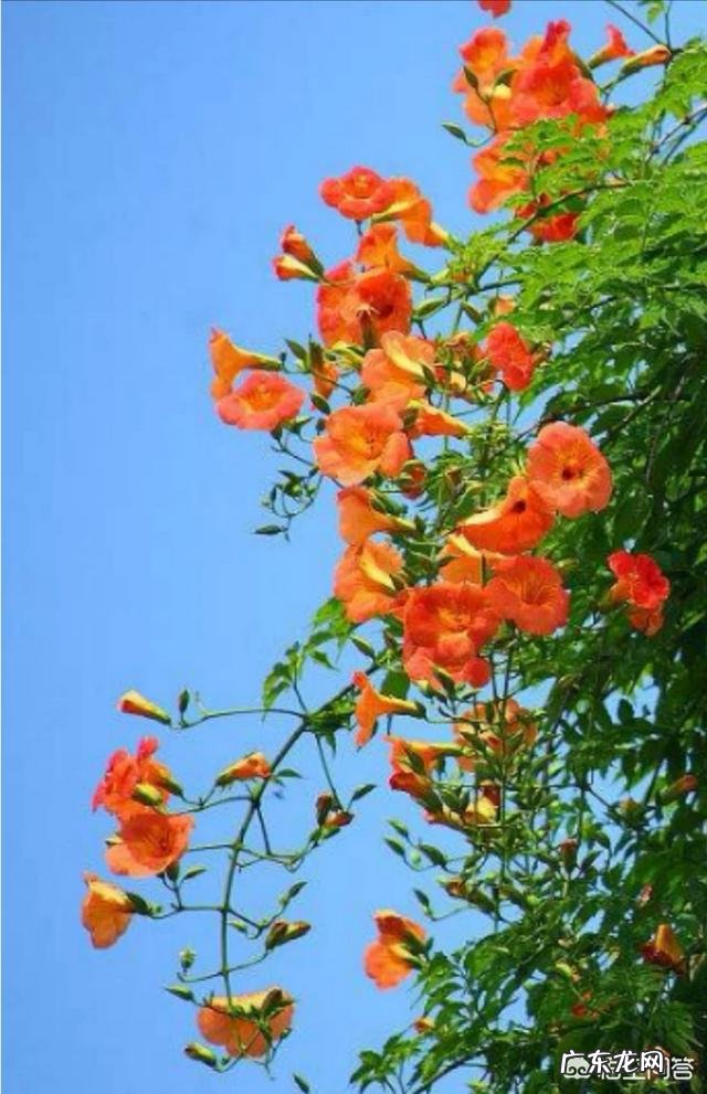 因为生活习惯和别人不一样被排斥该怎么办?