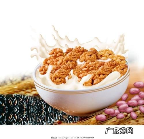 早餐每天都是自制的花生核桃牛奶,真的好吗? 早餐花生牛奶的做法