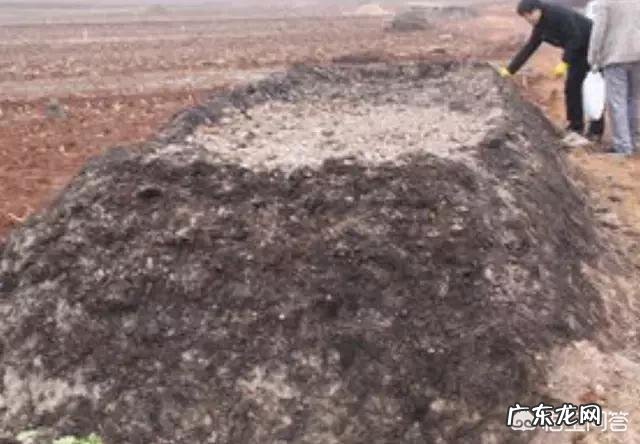 货币基金存不存在亏损本金?