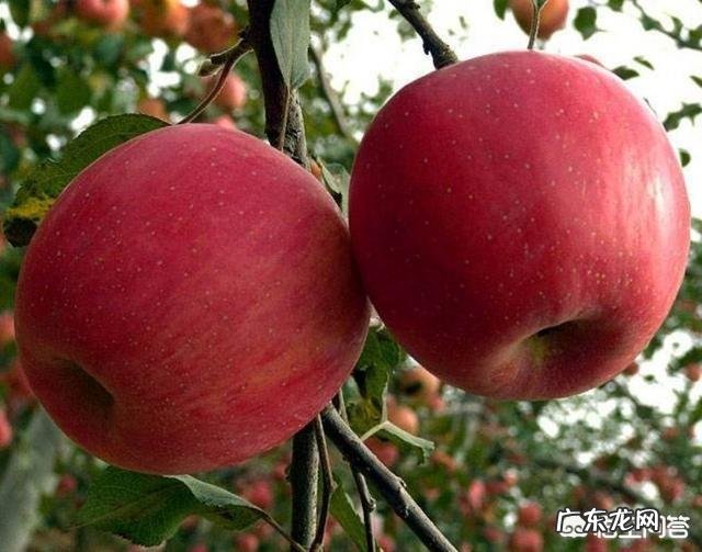 如何看待大学生校外租房?