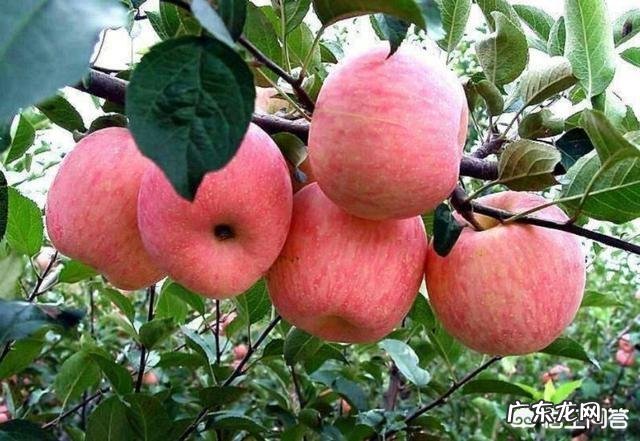 如何看待大学生校外租房?