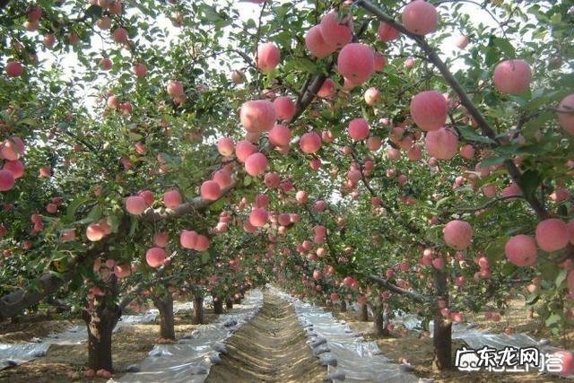 如何看待大学生校外租房?