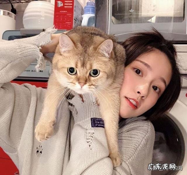 《爱情公寓》中诸葛大力的扮演者成果会火吗