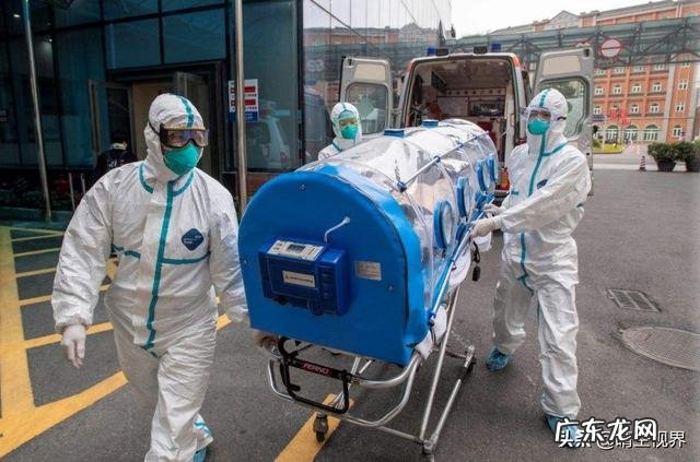 你见过最不爱干净的动物是什么? 温柔不爱干净的动物是什么