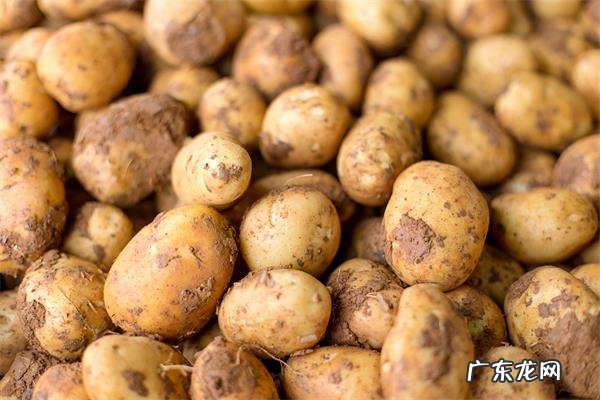 荨麻疹十大民间偏方,慢性荨麻疹十大民间偏方