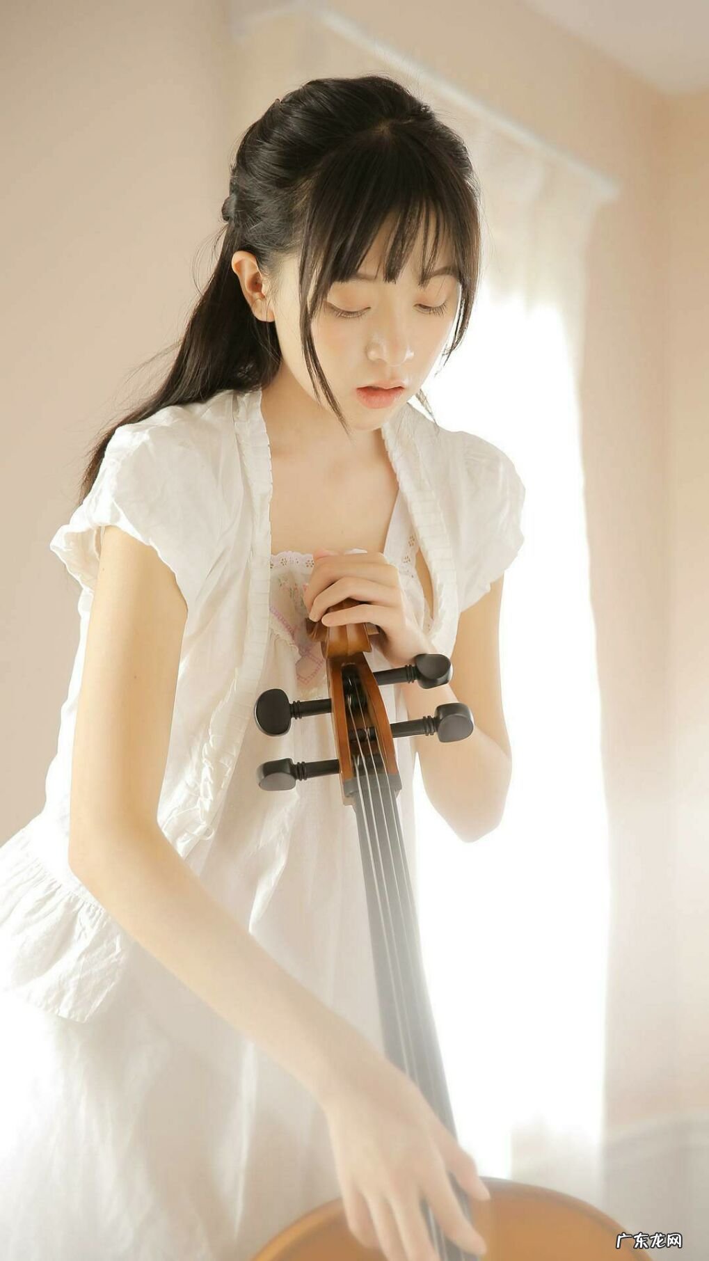 黄豆可以和什么一起打豆浆?