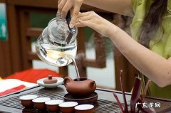 有什么泡水会很好喝又不容易发胖的东西？