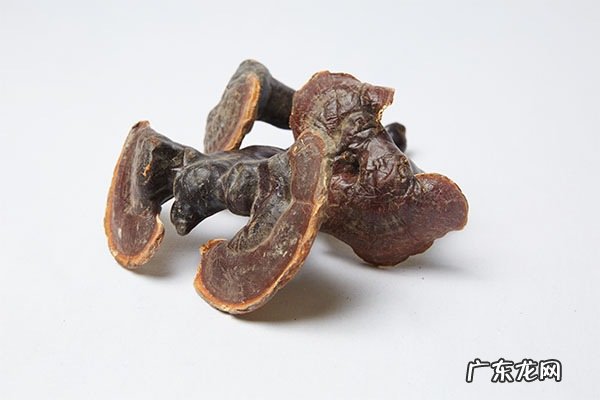 灵芝泡水喝的七大禁忌