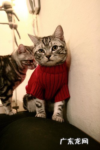 产后转呼啦圈瘦身有哪些利弊和注意事项?