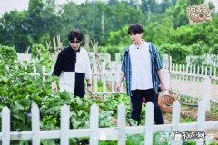 你有没有因为某个综艺而对某位明星产生好感