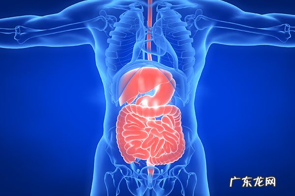 肛门处长了一个肉疙瘩是怎么回事