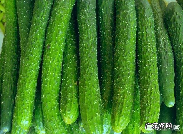 吃什么食物可以让肚子小一些?