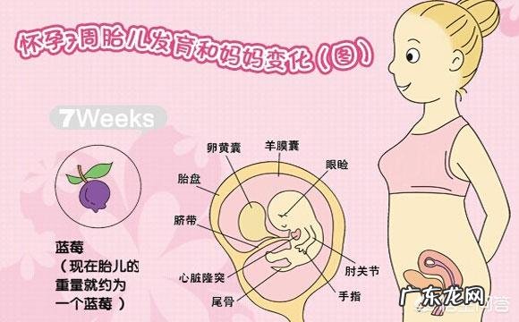 刚怀孕一周的时候,女性身体上会有什么变化?