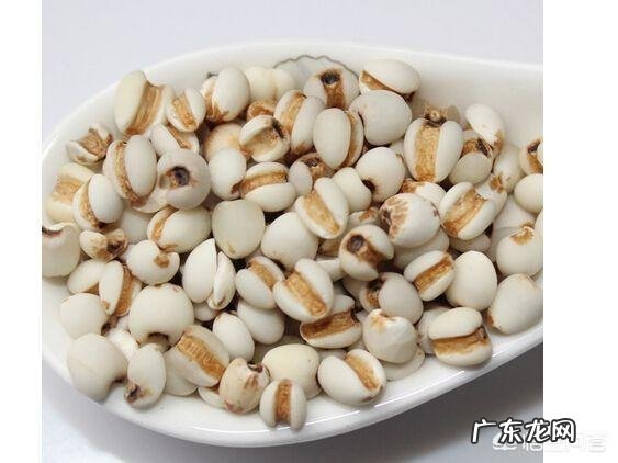 薏米对高血压会有哪些影响?