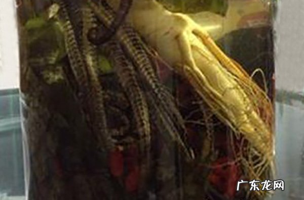 中药泡酒配方大全【药酒自制法】